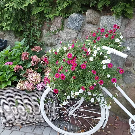 Letniskowy 3 Os Pod Debem 山林小屋 *