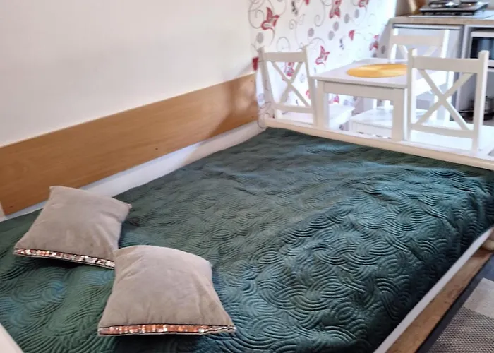 山林小屋 Letniskowy 3 Os Pod Debem