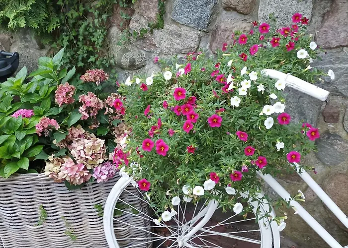 Letniskowy 3 Os Pod Debem 山林小屋 *